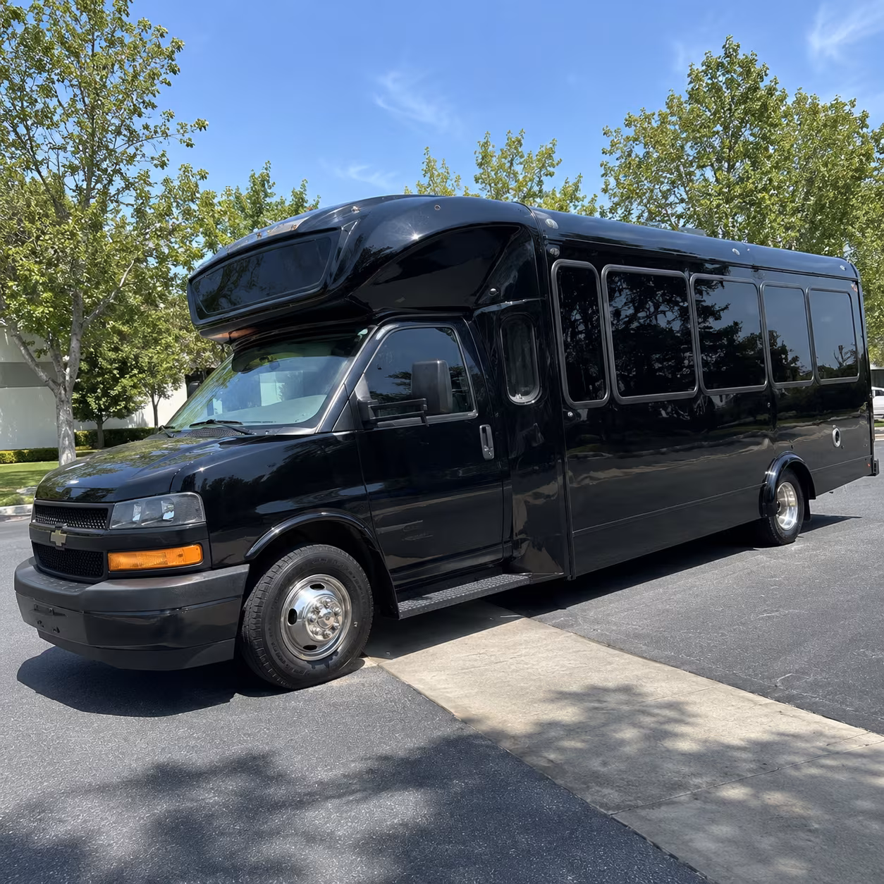 grand junction 15 passenger party bus