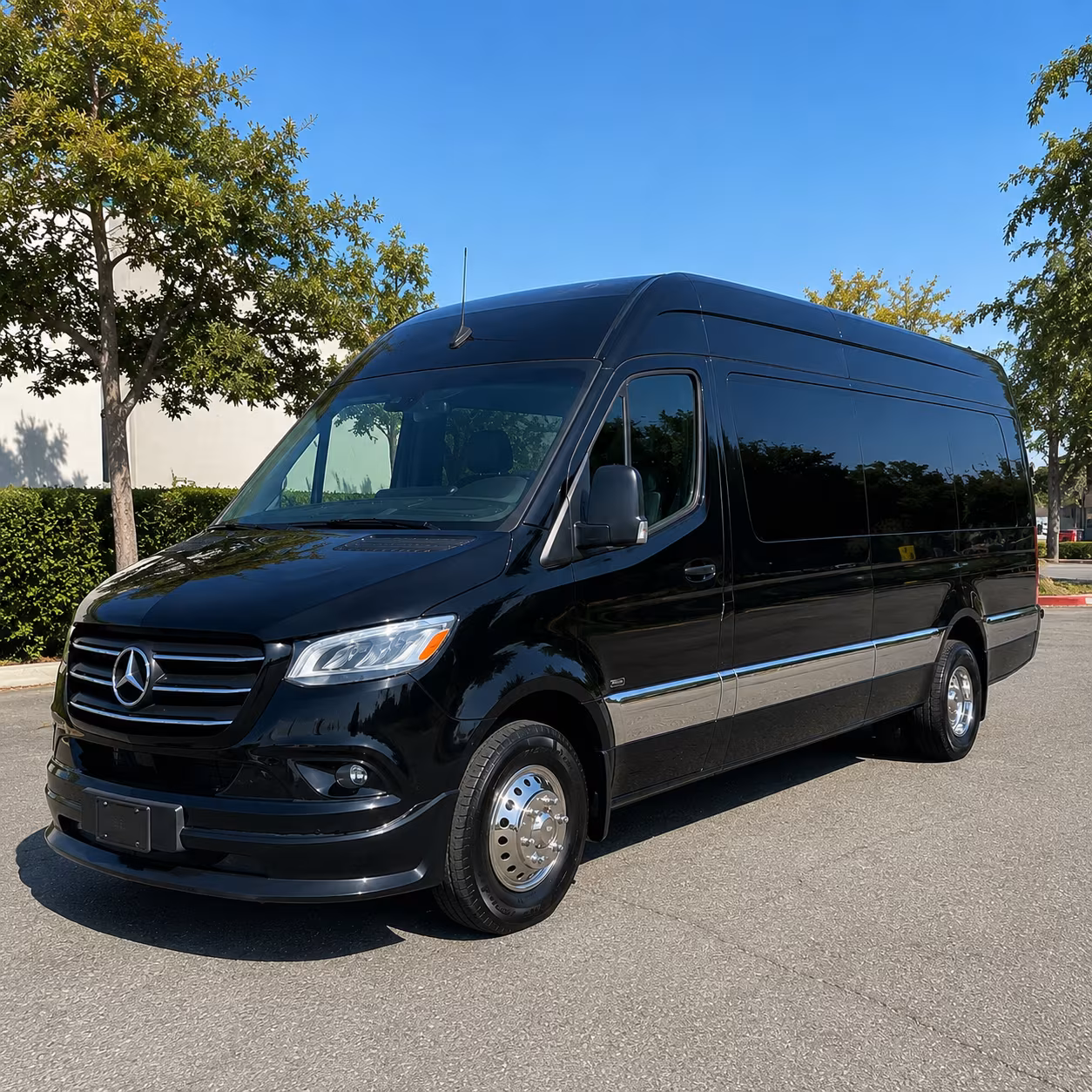 grand junction sprinter van with driver